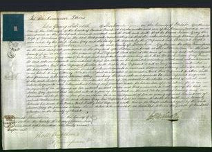 Court of Common Pleas - Susan Gray-Original Ancestry