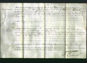 Deed by Married Women - Mary Jane Williams-Original Ancestry