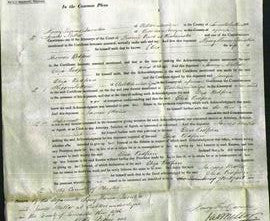 Court of Common Pleas - Eliza Redfern-Original Ancestry