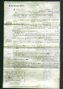 Court of Common Pleas - Martha Jones-Original Ancestry