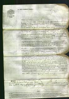 Court of Common Pleas - Catherine Ann Ranyard-Original Ancestry