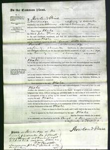 Court of Common Pleas - Phobe Thomas-Original Ancestry