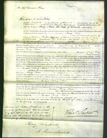 Court of Common Pleas - Mary Ann Muckon-Original Ancestry