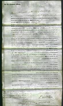 Court of Common Pleas - Elizabeth Hollingsworth-Original Ancestry