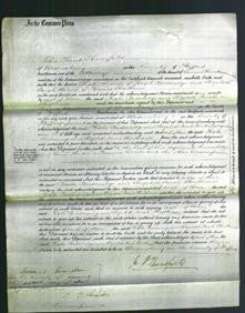 Court of Common Pleas - Phoebe Badnadge and Elizabeth Sarah Shorthouse-Original Ancestry