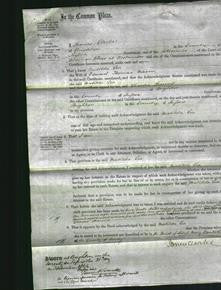 Court of Common Pleas - Matilda Lea Mason-Original Ancestry