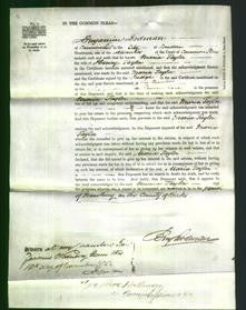 Court of Common Pleas - Maria Taylor-Original Ancestry