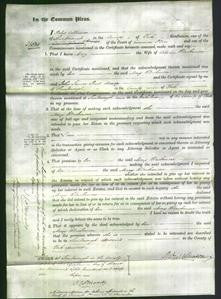 Court of Common Pleas - Mary Blackmore-Original Ancestry