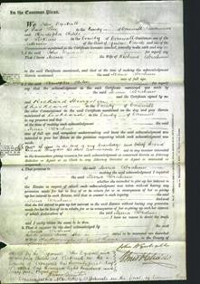 Court of Common Pleas - Maria Abraham-Original Ancestry