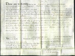 Deed by Married Women - Phoebe Hubbard and Ann Hubbard-Original Ancestry