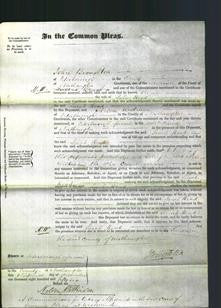 Court of Common Pleas - Sarah Read-Original Ancestry