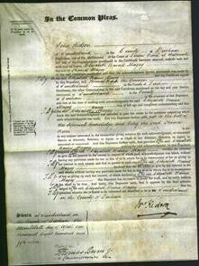 Court of Common Pleas - Elizabeth Baines Magog-Original Ancestry