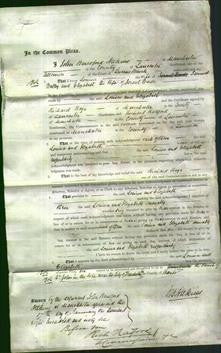 Court of Common Pleas - Louisa Walley, Elizabeth Wade-Original Ancestry