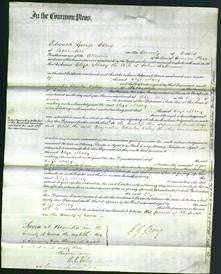 Court of Common Pleas - Eliza Mary Bateman-Original Ancestry