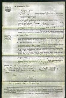 Court of Common Pleas - Mary Jane Tyas-Original Ancestry