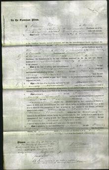 Court of Common Pleas - Frances Mary Bramall-Original Ancestry