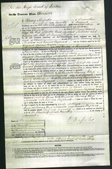 Court of Common Pleas - Elizabeth Sherring, Eliza Nicholas and Emma Shepherd-Original Ancestry