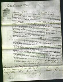 Court of Common Pleas - Anna Maria Wroth-Original Ancestry