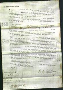 Court of Common Pleas - Hannah Richardson, Ann Griffiths Godard-Original Ancestry