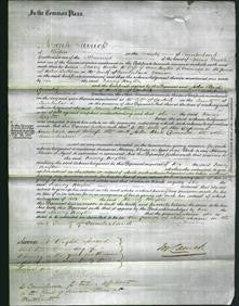 Court of Common Pleas - Nancy Hayton-Original Ancestry