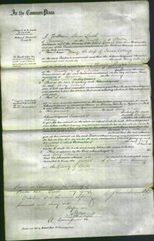 Court of Common Pleas - Mary Collings-Original Ancestry