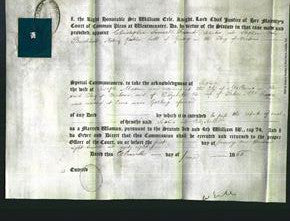Appointment of Special Commissioners - Christopher Samuel Friend and Stephen Vine Buckland-Original Ancestry
