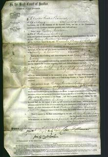 Court of Common Pleas - Betsey Newton Gedney-Original Ancestry