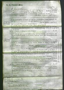 Court of Common Pleas - Sophia Mee-Original Ancestry