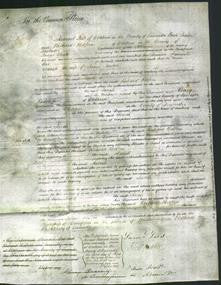 Court of Common Pleas - Sarah Newton-Original Ancestry