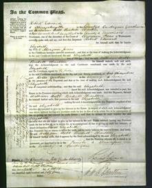 Court of Common Pleas - Elizabeth Jones-Original Ancestry