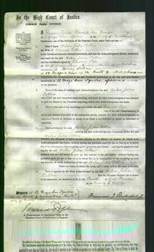 Court of Common Pleas - Helen Julia Collin-Original Ancestry