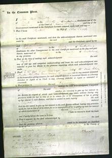 Court of Common Pleas - Elizabeth Thorp-Original Ancestry