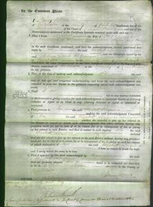 Court of Common Pleas - Elizabeth Longmore-Original Ancestry