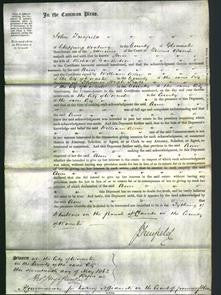 Court of Common Pleas - Ann Ganderton-Original Ancestry