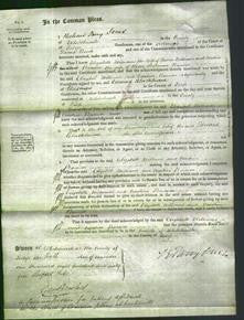 Court of Common Pleas - Elizabeth Williams and Caroline Bennion