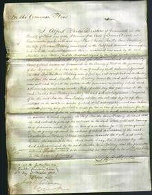 Court of Common Pleas - Martha Ann Holding-Original Ancestry