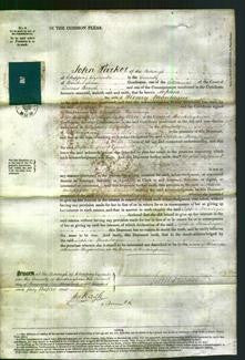 Court of Common Pleas - Sophia Montague-Original Ancestry