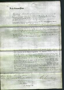 Court of Common Pleas - Esther Maria Twentyman-Original Ancestry