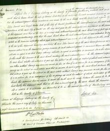 Court of Common Pleas - Sarah Lockstone-Original Ancestry