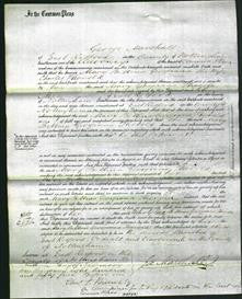 Court of Common Pleas - Mary Bettina Georgiana Thorold-Original Ancestry