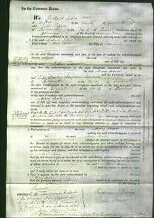 Court of Common Pleas - Mary Ann George-Original Ancestry