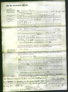 Court of Common Pleas - Ellen Smith-Original Ancestry