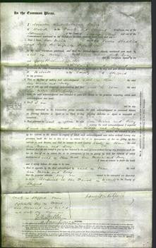 Court of Common Pleas - Ann Maria Stoddard and Lucy Cope-Original Ancestry