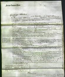 Court of Common Pleas - Tabitha Pearmain-Original Ancestry