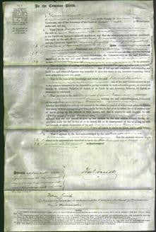 Court of Common Pleas - Margaret Jane Freeman-Original Ancestry