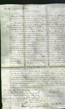 Court of Common Pleas - Elvira Eager-Original Ancestry