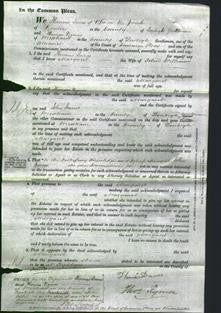 Court of Common Pleas - Margaret Williams-Original Ancestry