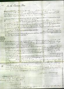 Court of Common Pleas - Elizabeth Ralsey