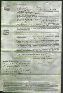 Court of Common Pleas - Martha Lane Hogan-Original Ancestry