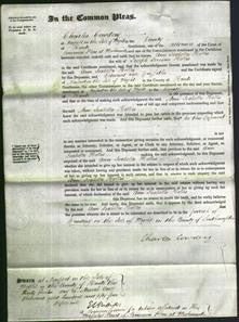 Court of Common Pleas - Ann Isabella Hollis-Original Ancestry